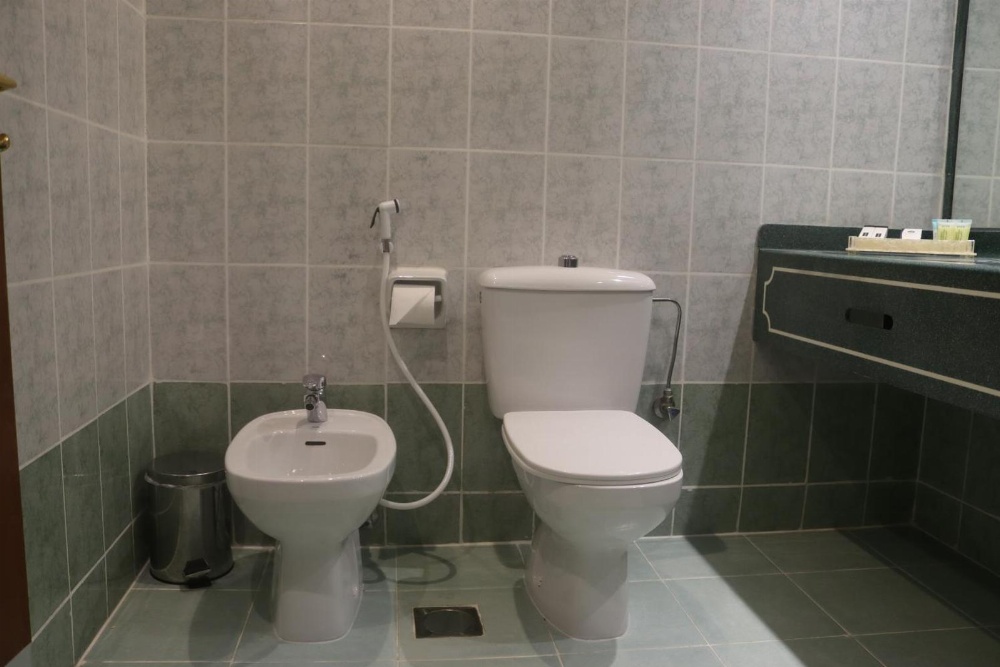 GSS Avenue Hotel Ex Delmon Hotel Main image