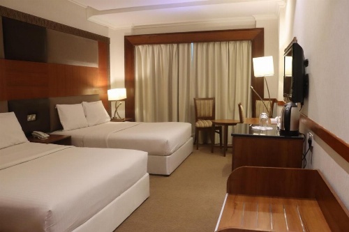 GSS Avenue Hotel Ex Delmon Hotel image 6